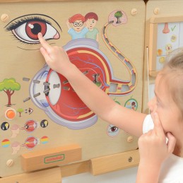 MASTERKIDZ Tablica Edukacyjna Zmysł Wzroku Montessori