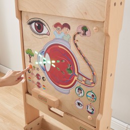 MASTERKIDZ Tablica Edukacyjna Zmysł Wzroku Montessori