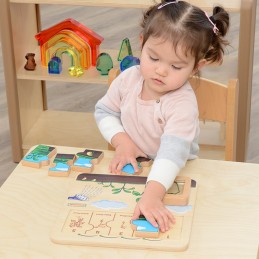 MASTERKIDZ Drewniana Tablica Cykl Życia Fasoli