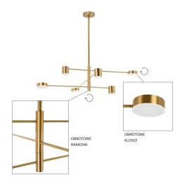 MOOSEE lampa wisząca PIAZETTA złota