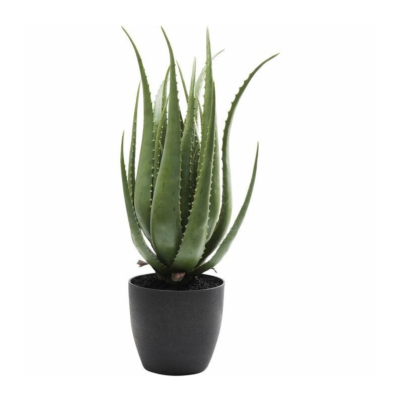 KARE roślina dekoracyjna ALOE 69 cm